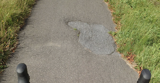 Mit dem BVJ die schönsten Radwege der Gemeinde Jork entdecken